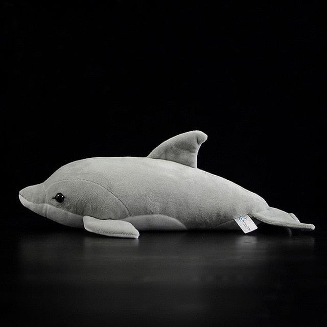 Dauphin Gris - Sonar™