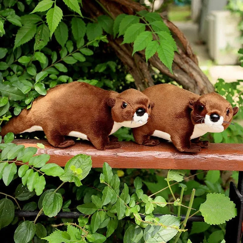 Doudou De Loutre