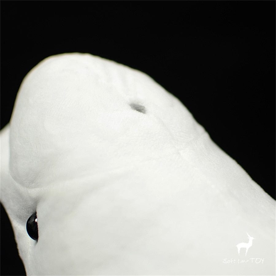 Peluche Baleine Blanche