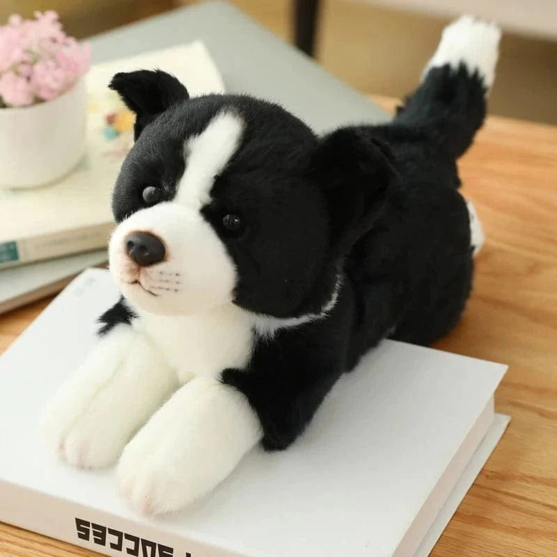 Peluche chien Border collie
