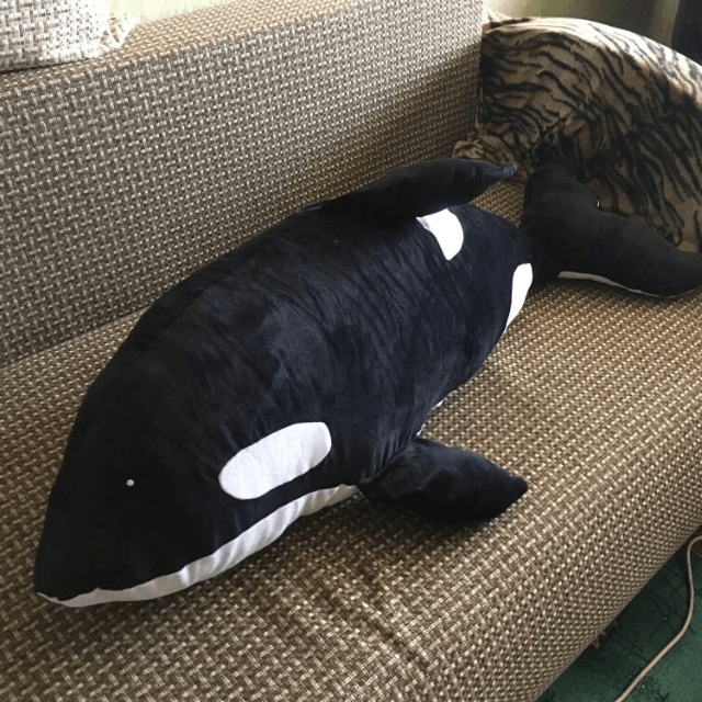 Peluche géante pour grand garçon orque roi de la mer