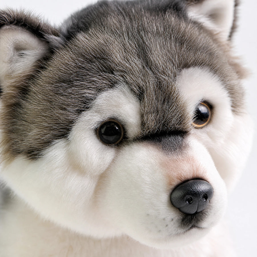 Peluche Husky Assise Gris et Blanc Réaliste - Détail matière