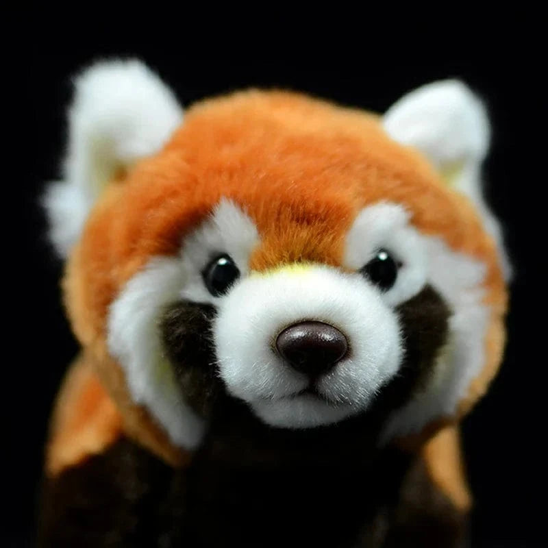 Peluche Panda Roux Réaliste