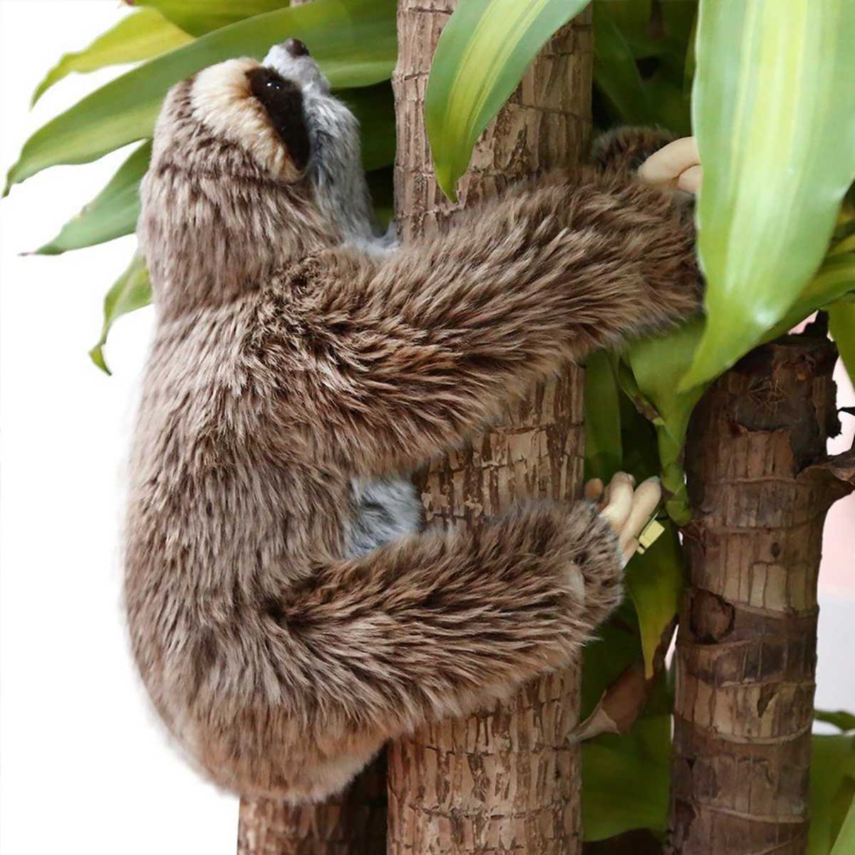 Peluche paresseux pour décoration et câlins