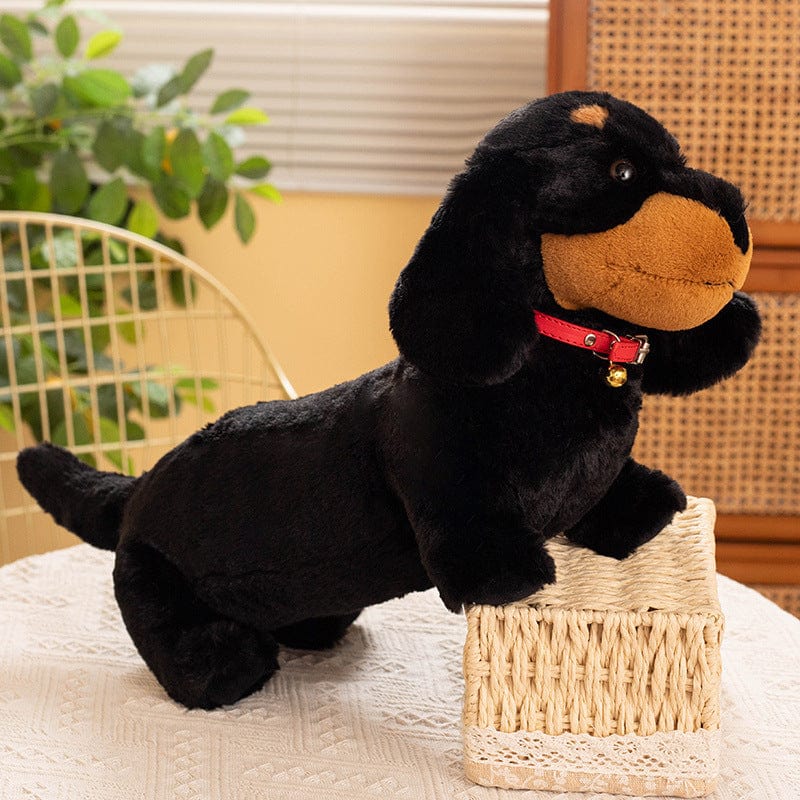 Peluche teckel coloré avec son collier rouge Noir