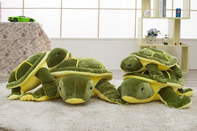 Peluche Tortue De Terre - Éclos™