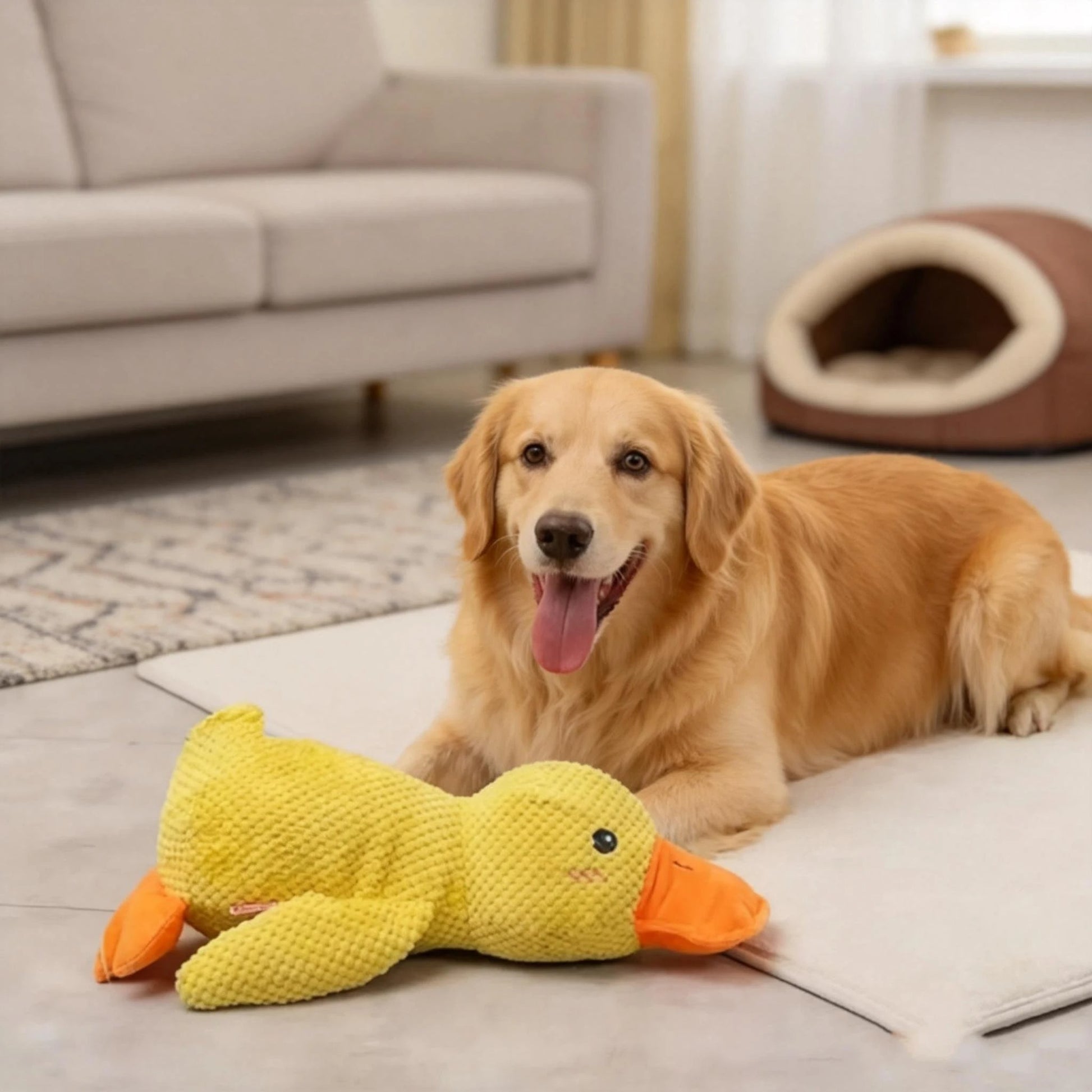 Peluche Canard pour Chien