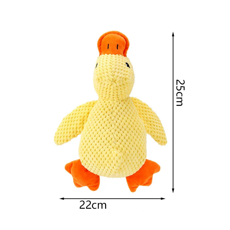 Peluche Canard pour Chien