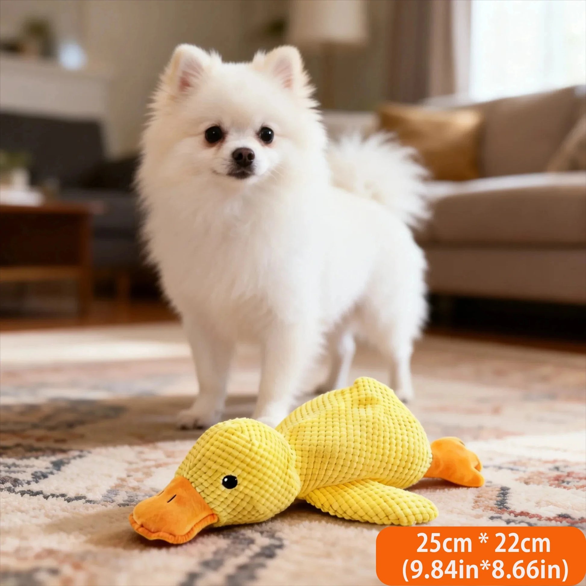 Peluche Canard pour Chien