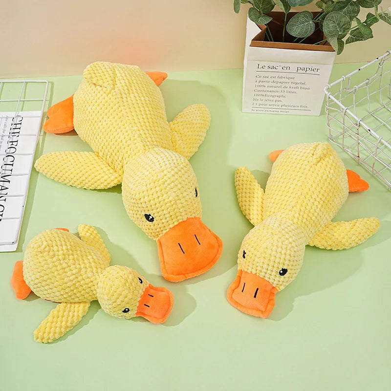 Peluche Canard pour Chien