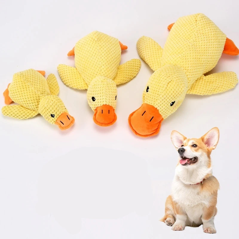 Peluche Canard pour Chien