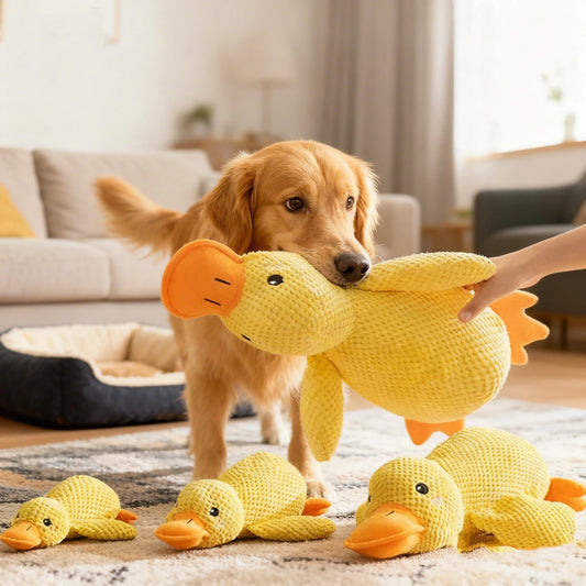 Peluche Canard pour Chien