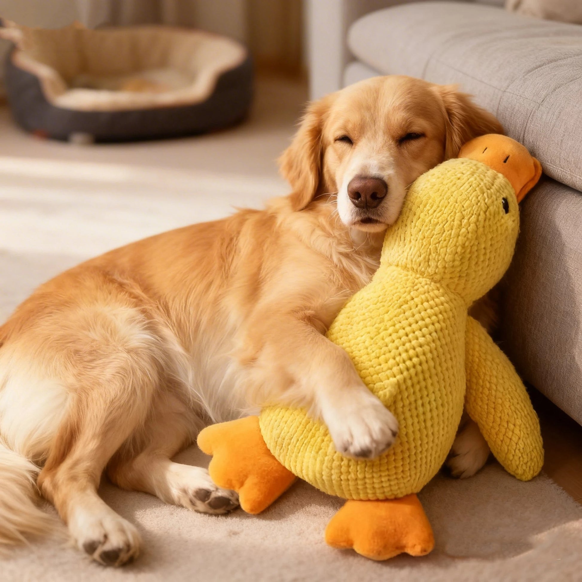 Peluche Canard pour Chien