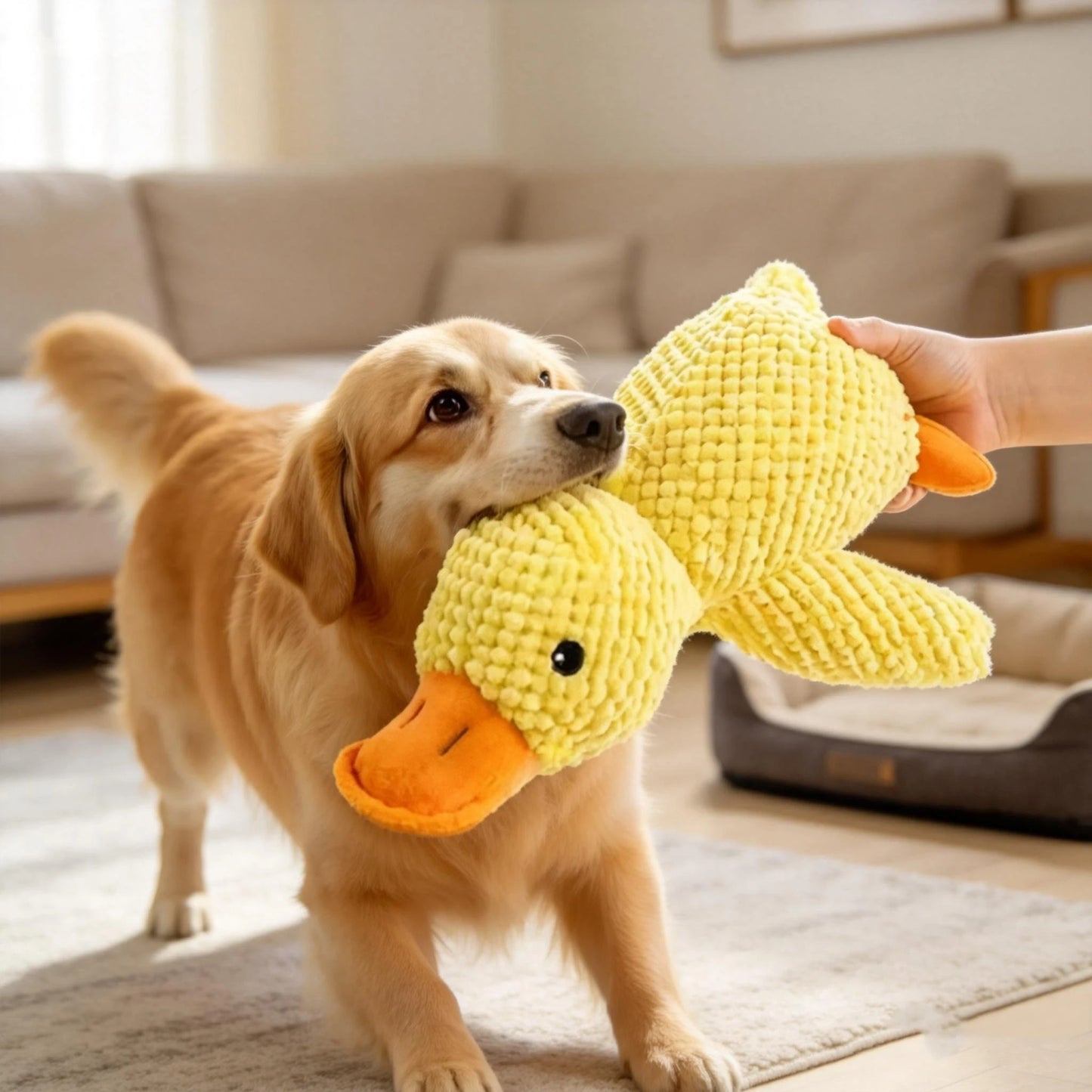 Peluche Canard pour Chien
