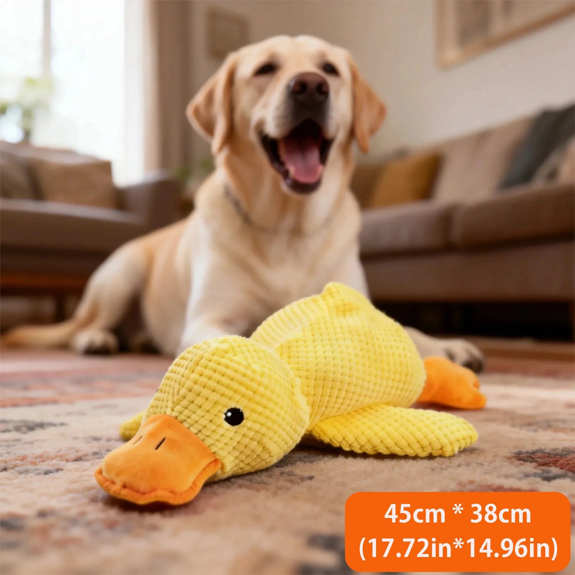 Peluche Canard pour Chien