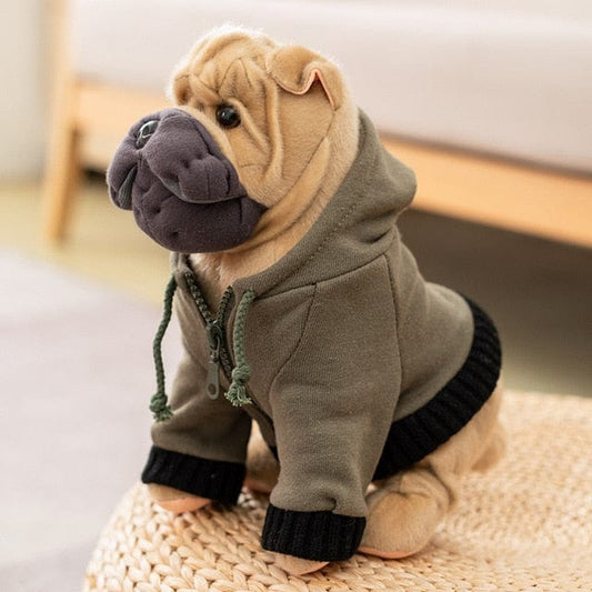Bouledogue Français mignon en habit