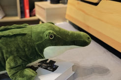 Crocodile Géant Peluche - Bayou™