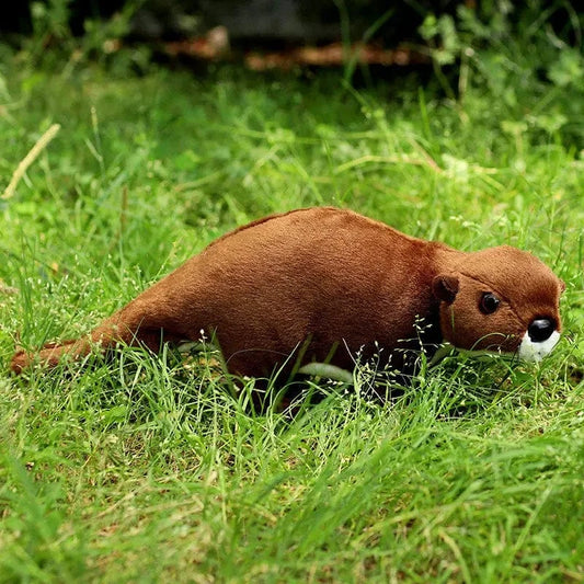 Doudou De Loutre 22 cm