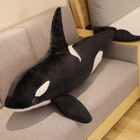 Épaulard noir et blanc doux et câlin