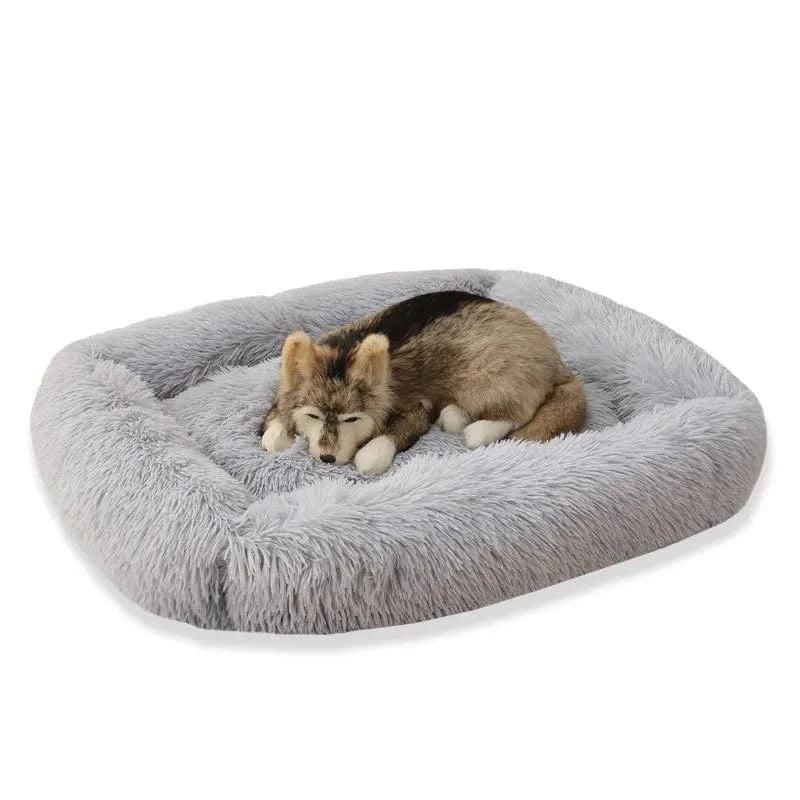 Panier En Peluche Pour Chien