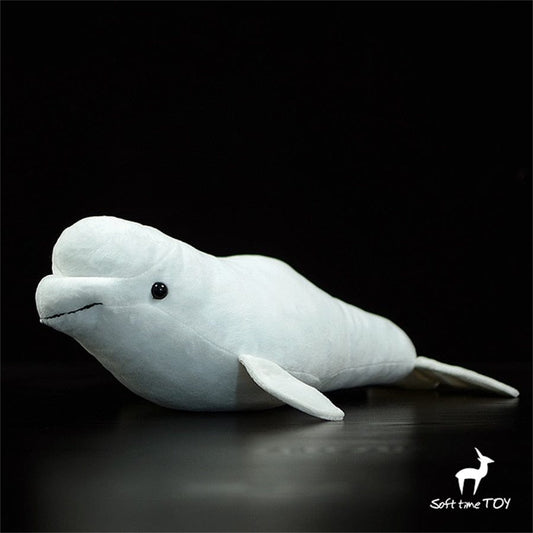 Peluche Baleine Blanche