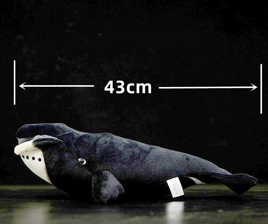 Peluche Baleine Petit
