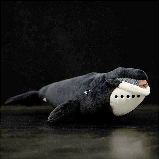 Peluche Baleine Petit