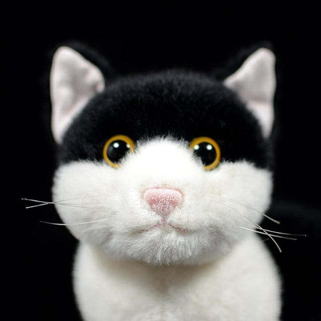 Peluche chat domestique aux gros yeux