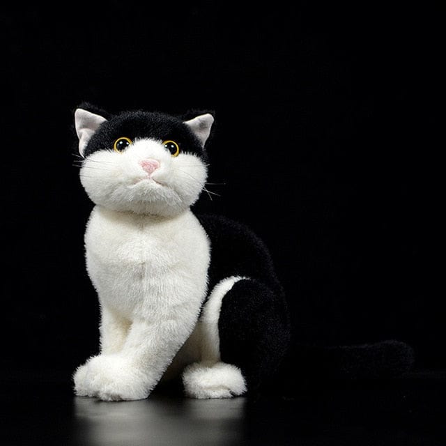 Peluche chat domestique aux gros yeux