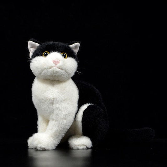 Peluche chat domestique aux gros yeux