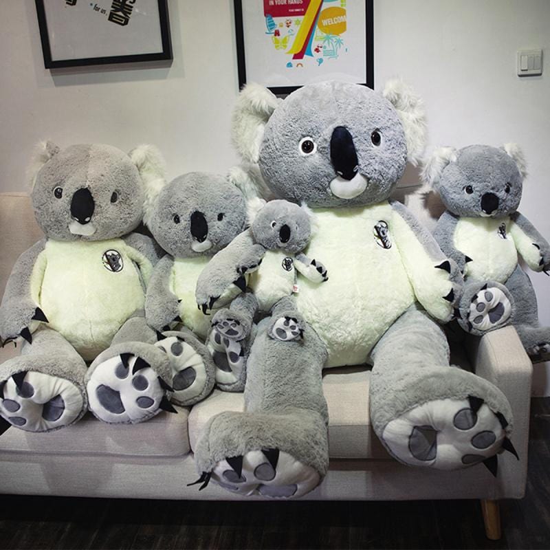 Peluche Koala XXL - Drowsy™